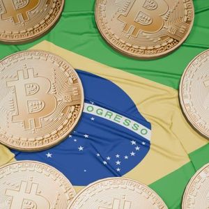 Latam Insights Encore: Brazil Lacks Leadership to Solve Its Crypto Alignment Dilemma