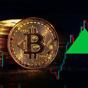 Fidelity’s FBTC Leads Daily Inflow as Bitcoin ETFs Achieve 7-Day Inflow Streak With $84 Million Addition