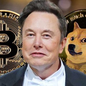 Elon Musk: Bitcoin Will Make It — Dogecoin to the Moon