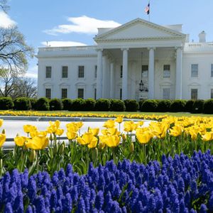 Crypto.com Expands US Presence With New DC Office Amid Trump’s Regulatory Shifts