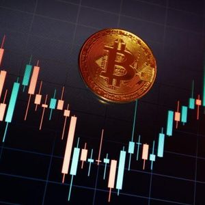 Blackrock Powers Bitcoin ETF Gains Despite Big Outflows From Rivals