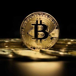 Bitcoin Treasuries May Reshape Corporate Finance Models, Advocate Says