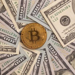 Former IMF Chief Economist: Bitcoin Undermines Dollar Hegemony in $25 Trillion Shadow Economy