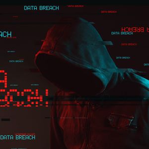 DeFi Platform Cork Protocol Suffers $12M Exploit, Markets Paused