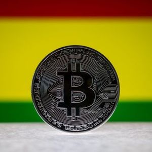 Bolivia Bans State Oil Company From Using Crypto for Energy Settlements