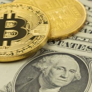 Willy Woo Predicts Bitcoin Market Cap Will Reach Global GDP Levels