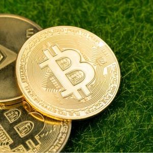 Bitcoin ETFs Roar Back After Three-Day Dip as Ether ETFs Extend Inflow Streak to Twelfth Day