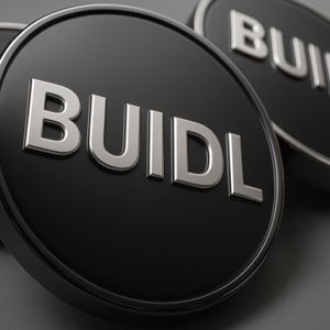 Blackrock’s Tokenized Money Market Fund BUIDL Tops $10M in May Dividends
