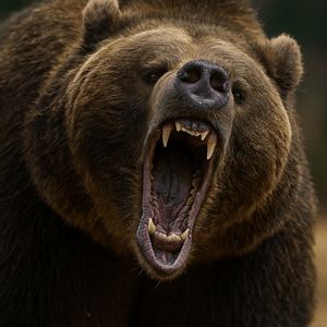 Bitcoin Price Watch: Caution Ahead as Momentum Weakens Below Key Levels