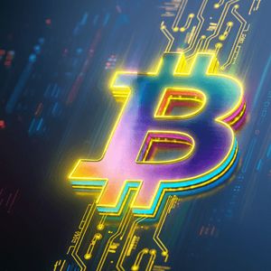 Corporate Bitcoin Holdings a ‘Blessing’ Now, Challenge Later, Says Roxom CEO
