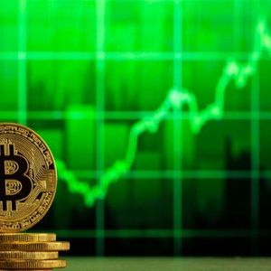 Bitcoin ETFs Post $216 Million Net Inflow as Blackrock Offsets Outflows From Fidelity and Ark 21shares