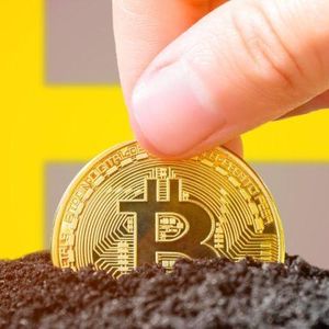 K33 Plans Major Bitcoin Acquisition With $8 Million Share Issue