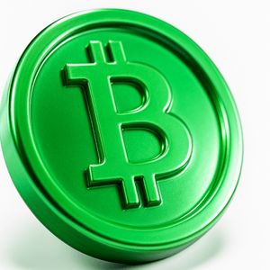 Crypto Market Sees Mixed Results: BCH Surges, Hyperliquid Dips