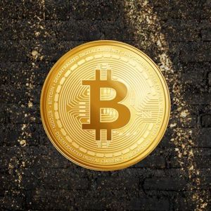 Blackrock Powers Bitcoin ETFs to 15th Straight Inflow Day