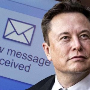 Elon Musk Confirms Bankman-Fried Owns 0% of Twitter Despite Reports Claiming a $100M Stake