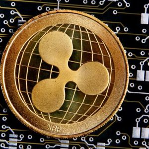 Biggest Movers: XRP Climbs to 3-Week High, DOGE Nearly 10% Higher