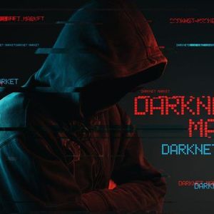Abacus Market Likely Conducts Exit Scam Amid Darknet Instability, Reports TRM Labs