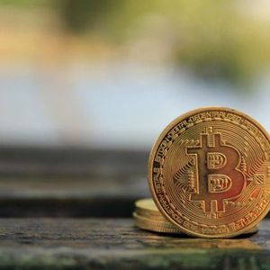 Bitcoin ETFs Hit 8-Day Streak With $297 Million Inflow as Ether ETFs Extend Winning Run