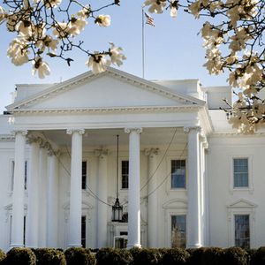 Report: Presidential Working Group’s Crypto Report Release Imminent