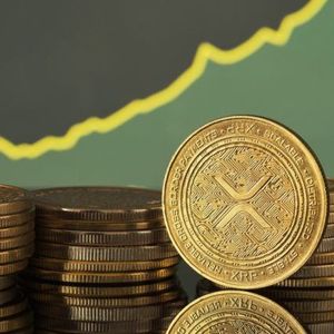 Nature Miracle Launches $20 Million XRP Treasury