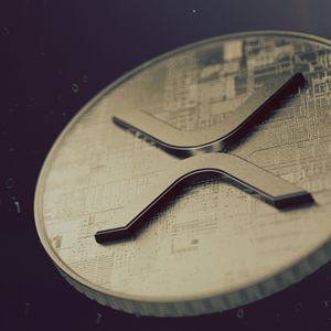 Ripple Co-Founder’s Wallets Unleash Millions in XRP Transfers in July