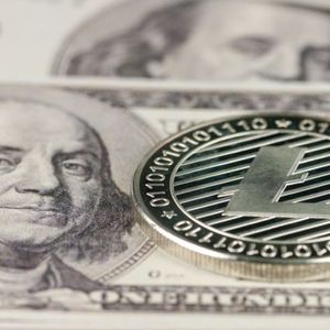 Biggest Movers: LTC Nears 6-Month High, as Near Rebounds From Recent Lows