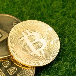 Bitcoin and Ether ETFs Surge With $503 Million Inflows as Recovery Momentum Builds