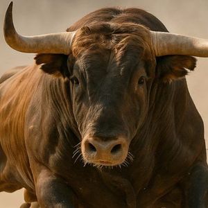 Bitwise CIO Sees 3 Bullish Crypto Opportunities With Massive Upside Ahead