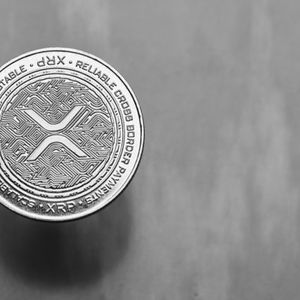 Bitso Report: XRP Rises as a Dark Horse in Latam Portfolios