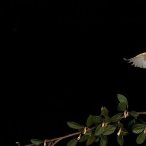 Canary Capital’s McClurg Sees Bitcoin Soaring to $150K Before Inevitable Downturn