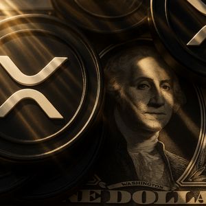 XRP Price Watch: Will $3.11 Be the Breakout Gateway or the Bull Trap?