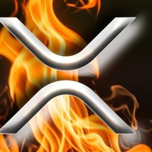 Ripple CEO Endorses XRP Card With Fire—Says ‘What a Time to Be Alive, XRP Family’