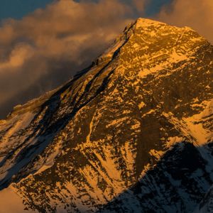 Peaks and Pitfalls: Top 10 Crypto Assets Split Between Fresh Highs and Old Lows