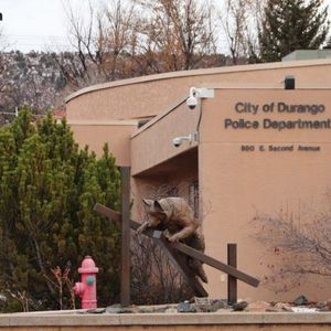 Dating-App Deception Leads to $1.4M Crypto Loss — Colorado Bureau of Investigation Sounds Alarm