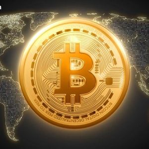 Report: Under 20,000 Addresses Hold More Than 60% of Bitcoin’s Supply