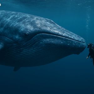Ancient Bitcoin Awakens: 2011 Wallet Shifts 4,000 BTC After 14 Years of Silence
