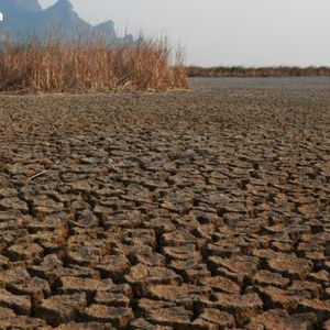 Mike McGlone’s Scorched Earth Prediction: $56K Bitcoin in the Horizon