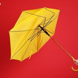 A Perfect Storm Has Sent Bitcoin Nosediving