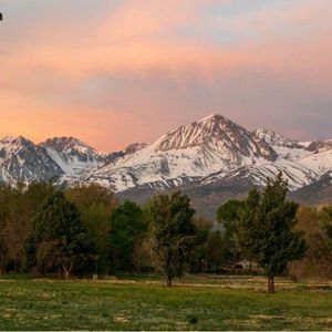 Avalanche’s RWA Ecosystem Strengthened: Liquidity Yield Token Offers Risk-Adjusted Returns with Zero Lockups