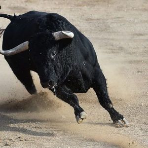 Fundstrat’s Tom Lee Disregards Crypto Market Weakness: Pain Is ‘Short Term’