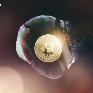 $1.93 Billion Liquidated: Crypto Economy Market Cap Sinks Below $3 Trillion After Brutal Flash Crash