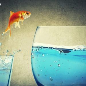 Franklin Crypto Index ETF Expands Multi-Asset Scope With XRP, SOL, DOGE Entering Mix