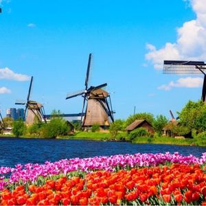 Dutch Bitcoin Asset Manager Blockrise Obtains MiCAR License for European Expansion