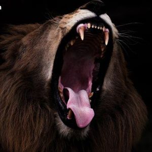 Bitcoin Eyes Explosive Rebound With Nasdaq-Size Moves Poised to Flip