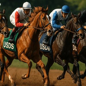 Stablecoin Sector Roars Back as Market Nears a Record Peak