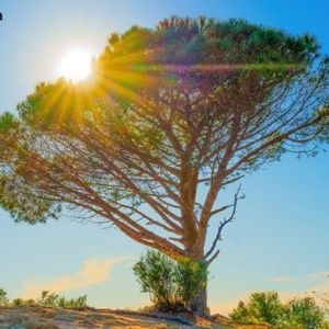 Wisdomtree Launches Tokenized Equity Options Strategy Fund for Crypto-Native Investors