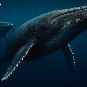 Cryptoquant: Large Holders Step Back, Bitcoin Regains Short-Term Strength