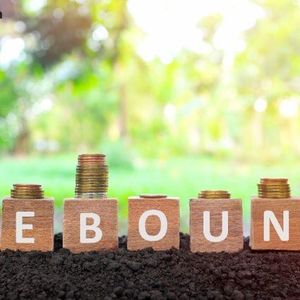 Bitcoin ETFs Rebound With $457 Million Inflow as Ether Outflows Persist