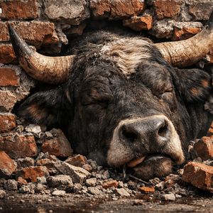 XRP Bulls Slam Into the $2 Wall—Momentum Wrecked at Resistance