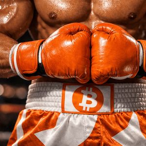Deribit’s $28.5 Billion Boxing Day Options Expiry Becomes Bitcoin’s Main Event